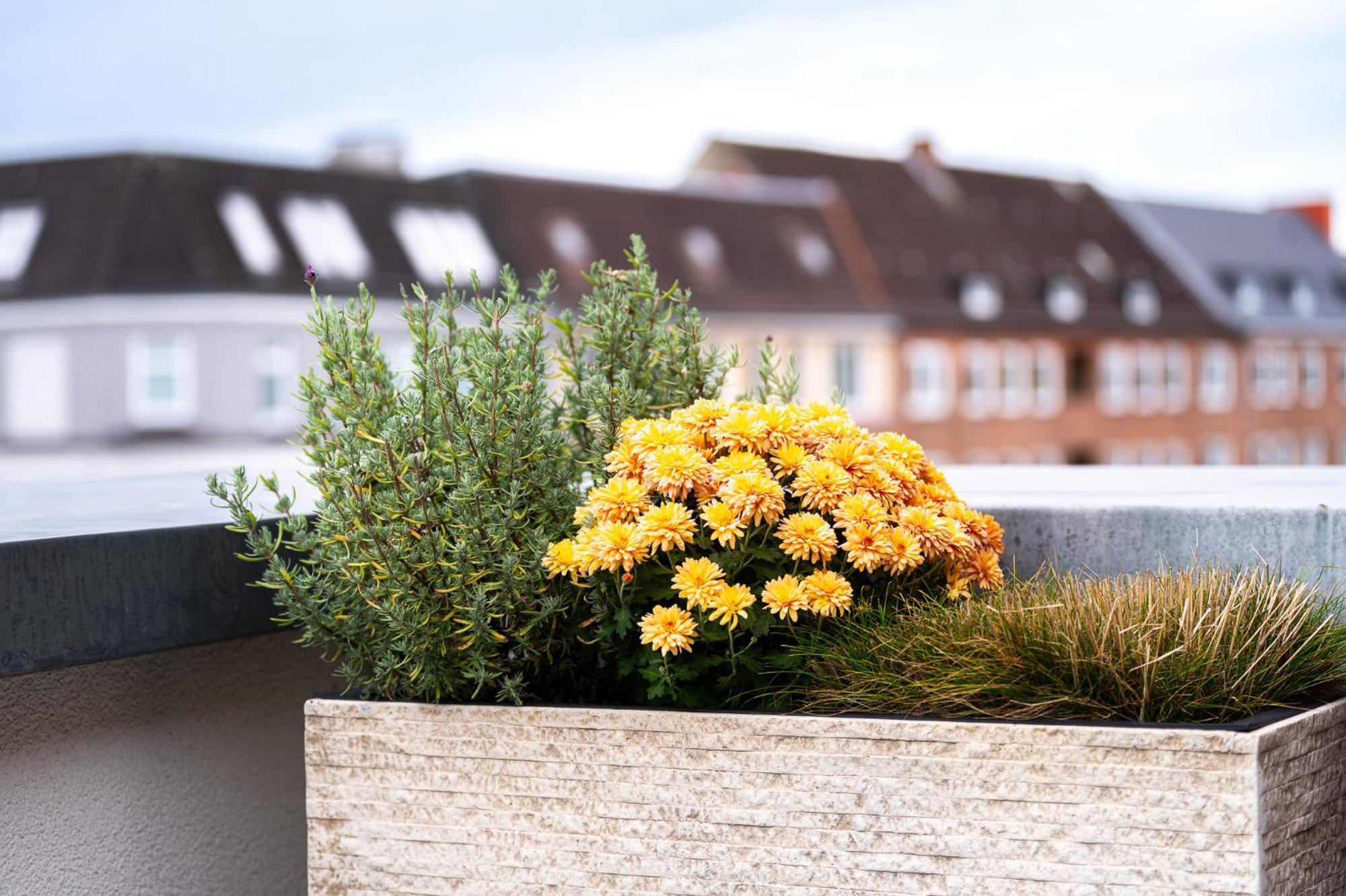 Ferienwohnung Foerdeterrasse Nahe Kiellinie Exteriér fotografie